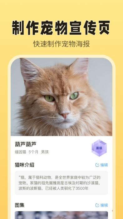 猫老板app下载,猫老板,猫咪app,管理app